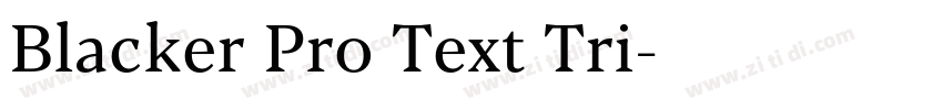 Blacker Pro Text Tri字体转换 Blacker Pro Text Tri字体转换